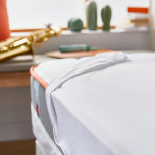Funda Colchón Rizo Transpirable Aloe Vera Cierre cremallera Suave · WHAT THE SLEEP