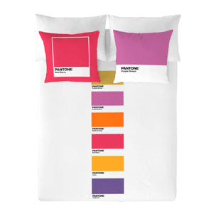 Pantone - Funda Nórdica Estampada - Cierre Solapa - 100% Algodón - Incluye 1/2 Fundas de Almohada - Fun Deck D