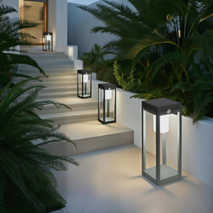 Lanterne Piky solaire vert laurier H40cm