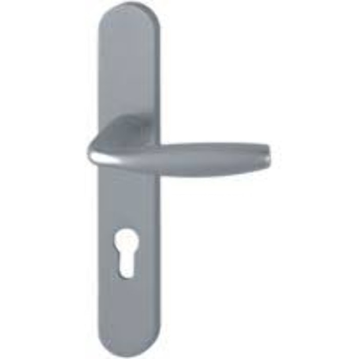 Ensemble de porte plaque large New york Clé i aspect inox F9 HOPPE - 1810/300M - 195mm - entr.7/70 C.7mm - 48/57 - 3540109
