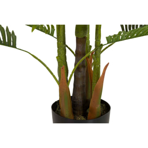 Planta Plamera Areca Con Maceta 80x80x185 Cm