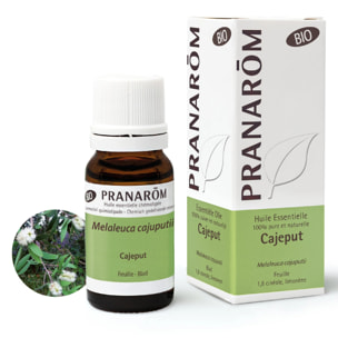 Pranarom - Huile Essentielle de Cajeput - Bio - 10 ml