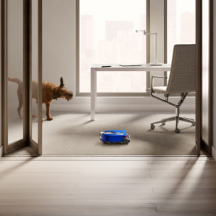 Robot aspirapolvere Dyson 360 Vis™ Nav (Blu/Nichel)