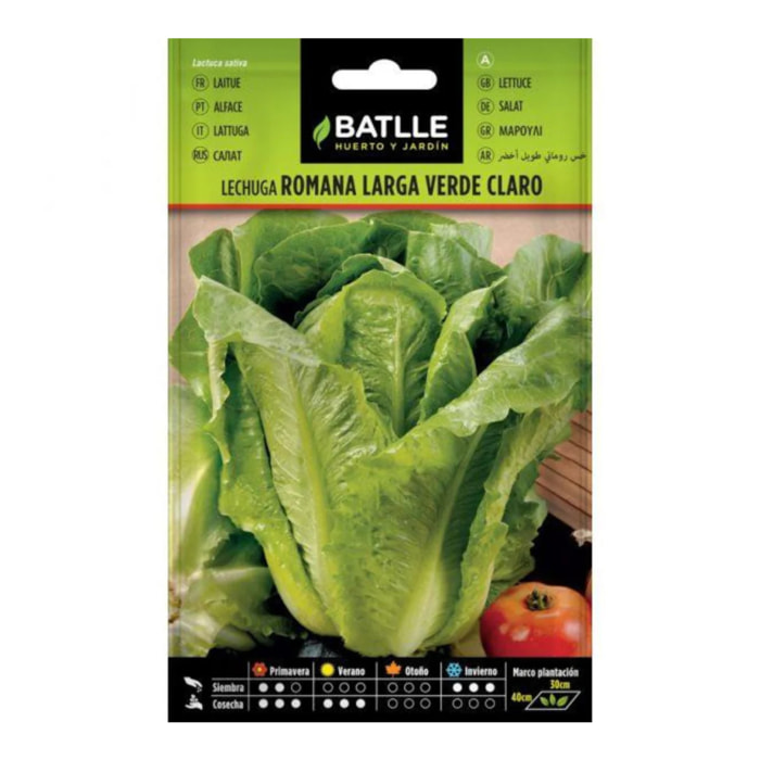 Semillas de Lechuga Romana Larga Verde Claro Batlle