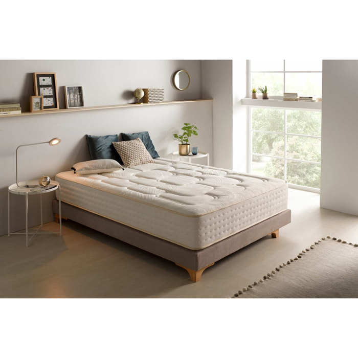 Matelas Regal Prime, 27 cm, 1 place- Moonia