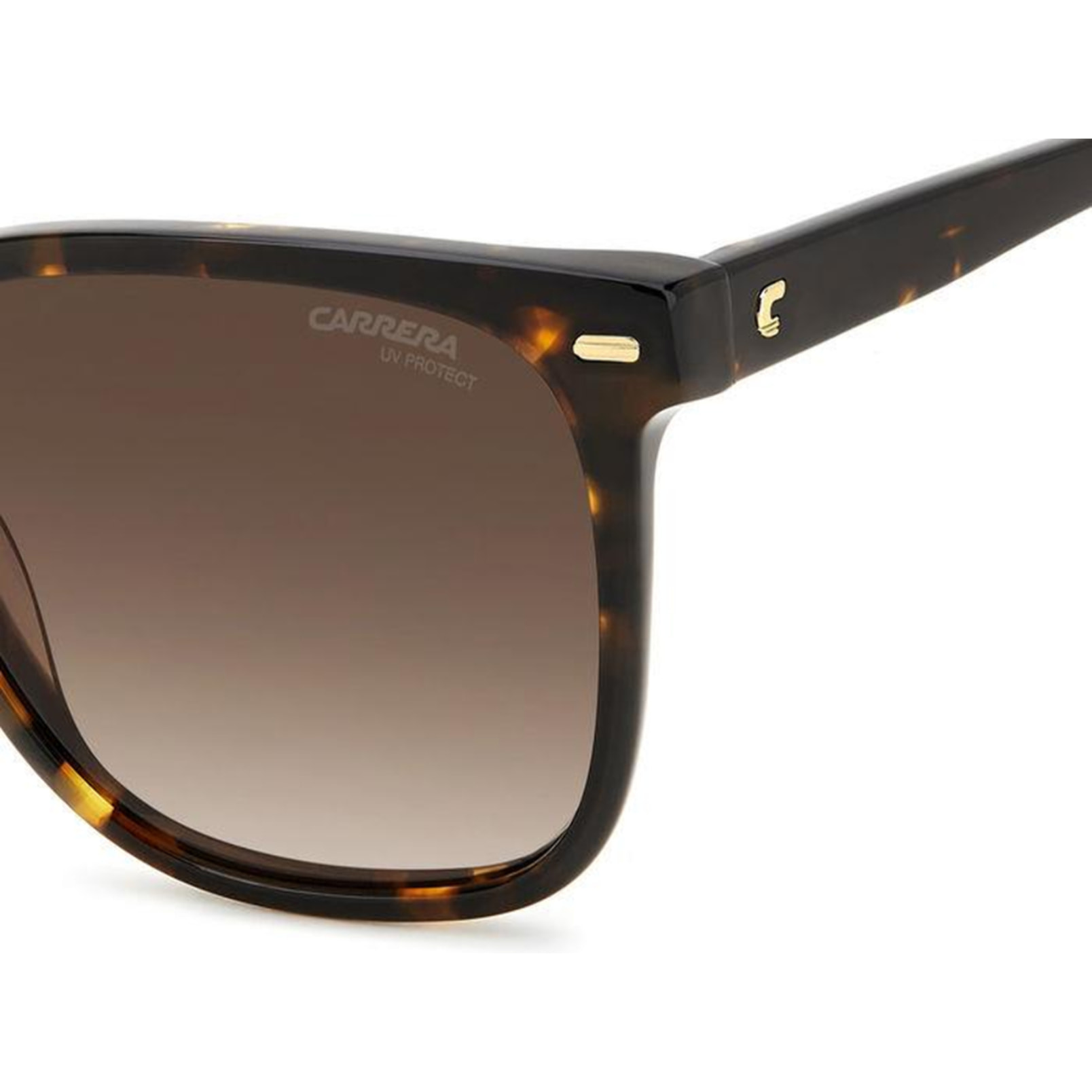 Gafas de Sol Carrera 3002/S 086 de Acetato Mujer 55 mm