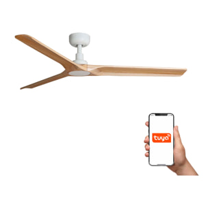 HEYWOOD L Ventilateur de plafond blanc TUYA