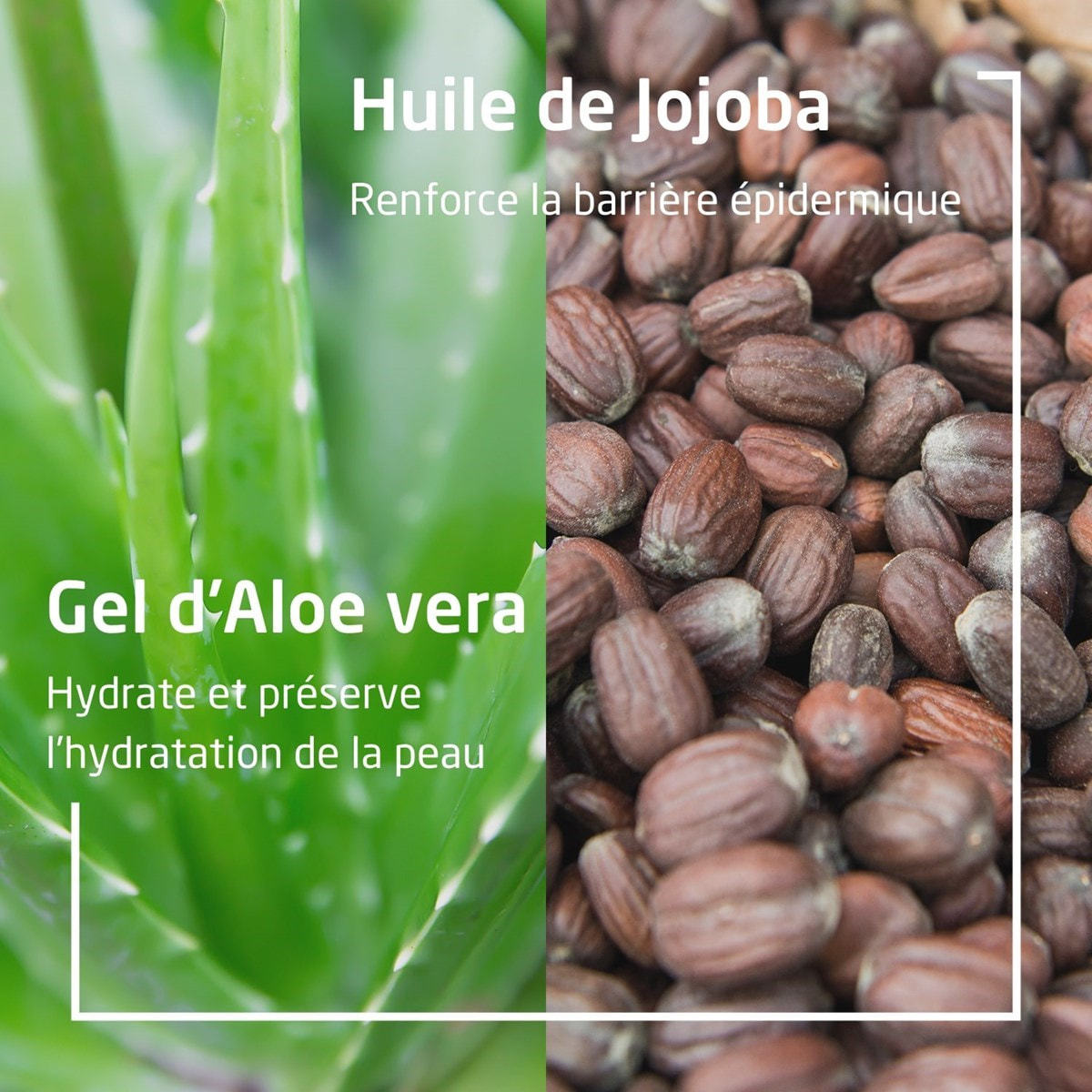 WELEDA - Duo Baume Après-Rasage - Protège et apaise - Certifié Natrue**- Flacon 100 ml  x 2