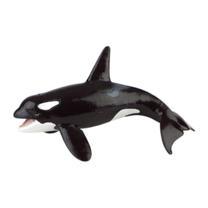 Mondo Marino/Orca