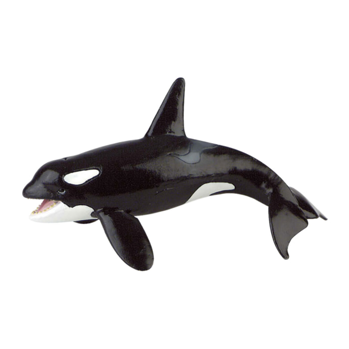 Mondo Marino/Orca