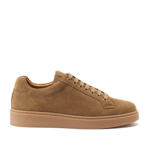 Sneaker British Passport Marrone
