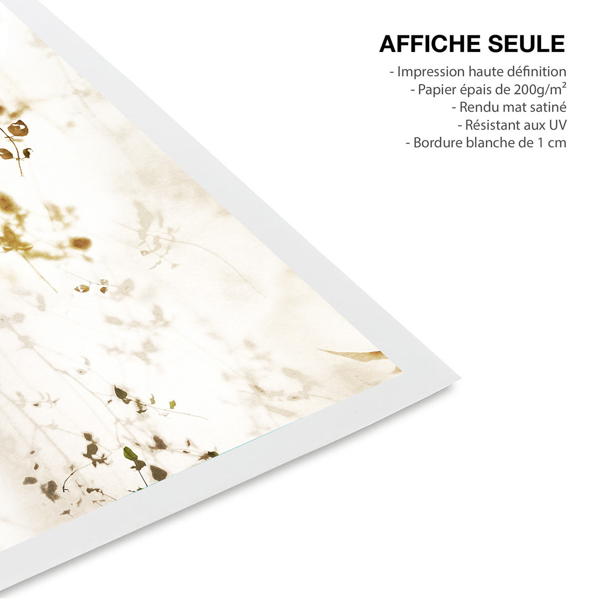 Affiche de fleurs séchées Feuillage Affiche seule