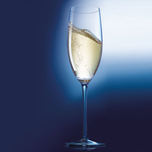 6 flute da champagne 24 cl Menades