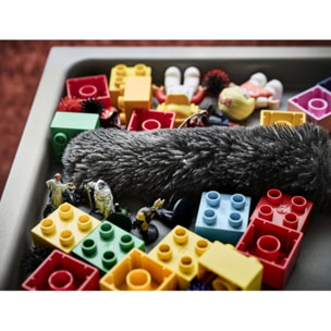 Plumeau ELECTROLUX KIT22 performance filtre brosse aspirateur balai Animal