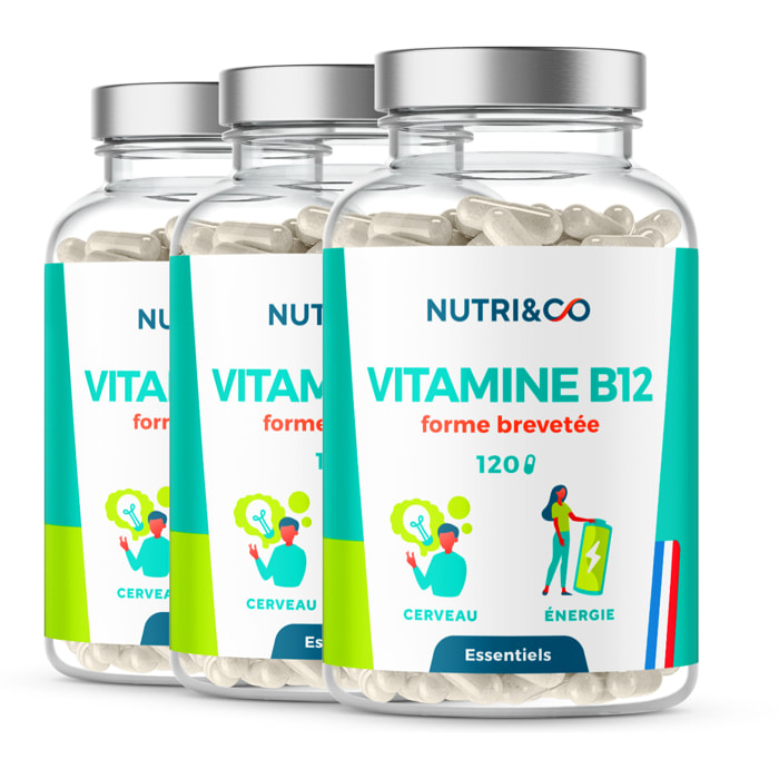 Vitamine B12 1000mcg Brevetée Pure - 120 gélules Vegan - Lot de 3