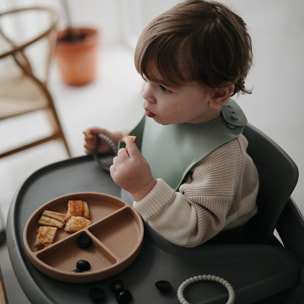 Mushie Plato Ventosa-Compartimentos Solid