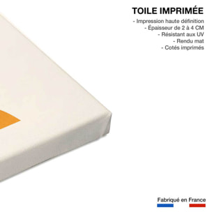 Tableau graphique plante en pot Toile imprimée