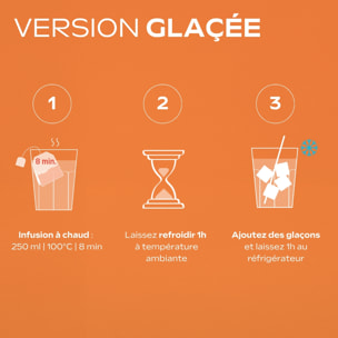 WELEDA - Tisane Allaitement bio Pêche Abricot - 20 sachets