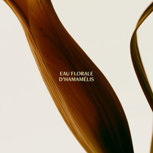 Eau Florale d'Hamamelis  - Tonifiante & Éclat 200 ml