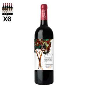 Caja de 6 botellas de vino Fuente Nogal Joven, Ribera del Duero, 100% Tempranillo. Vendimia del 2023. 75cl con 14,5% vol.