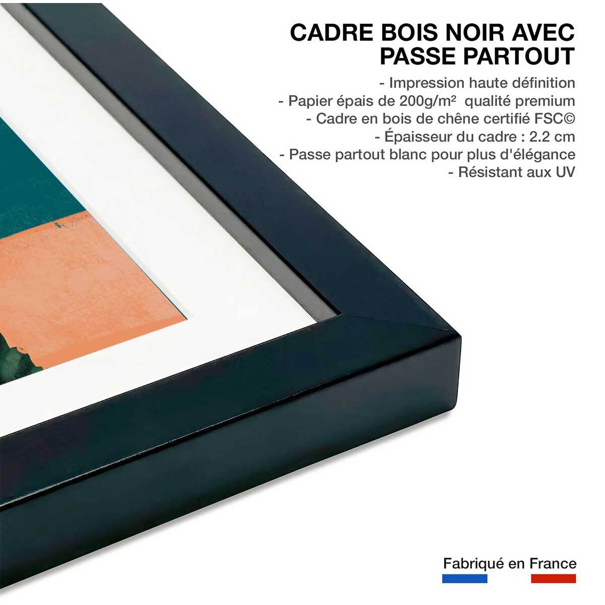 Affiche illustration cactus et soleil rose Affiche + cadre en bois - Noir