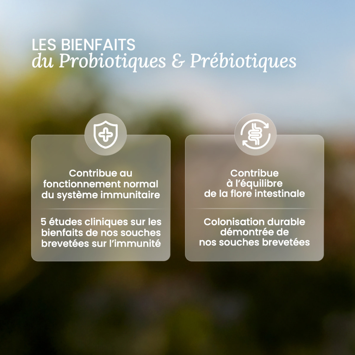 Nutri&Co Probiotiques & Prébiotiques - Flore Intestinale - 60 gélules Vegan