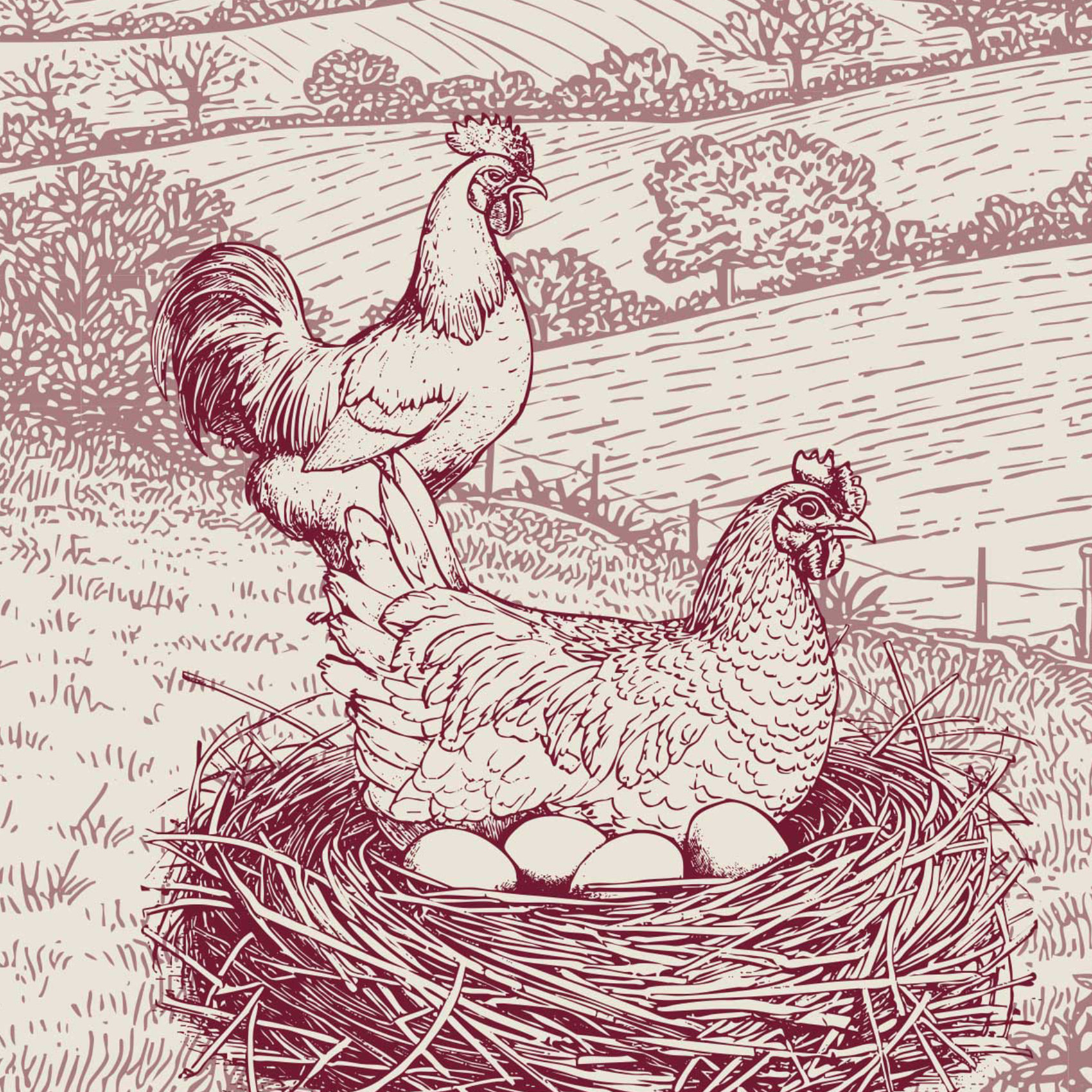 Torchon en coton poule campagne - Rouge