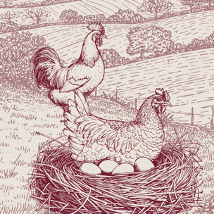 Torchon en coton poule campagne - Rouge