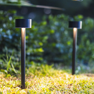 2 Balise solaire à piquer FORTY H30CM