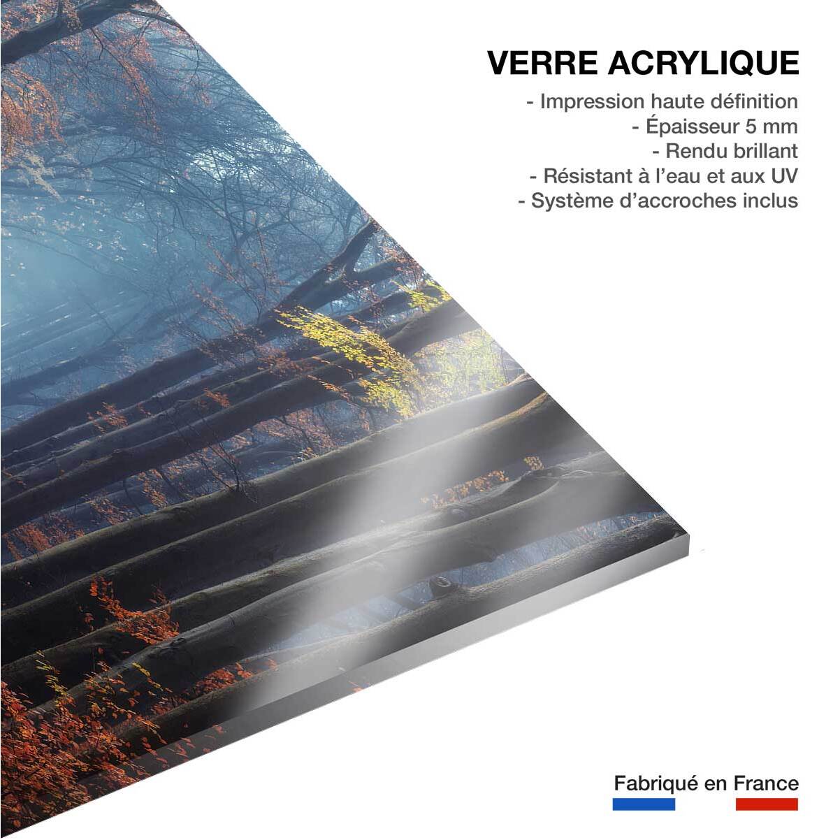 Tableau Lumière d'automne Tableau plexiglas