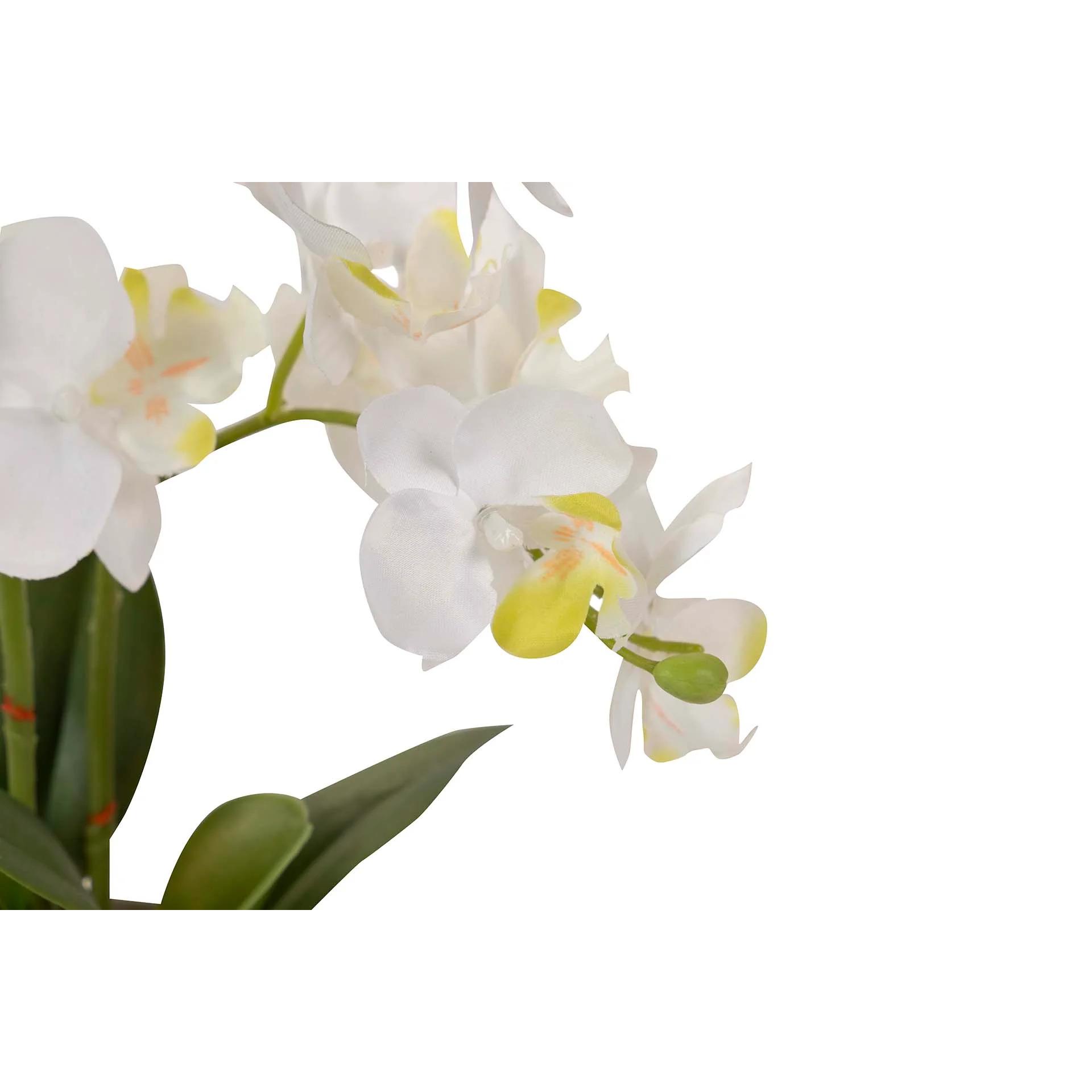 Orquidea Poliester Blanca Con Maceta 20x20x36 Cm