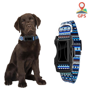 Localizador GPS especial para perros y mascotas. BDS+LBS+AGPS. Collar de 40 a 64cm de diámetro, reflectante.