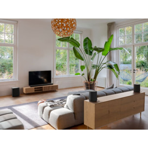 Enceinte résidentielle HARMAN KARDON Enchant Speaker