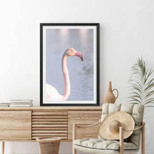 Affiche pastel pink flamingo Affiche sous cadre noir