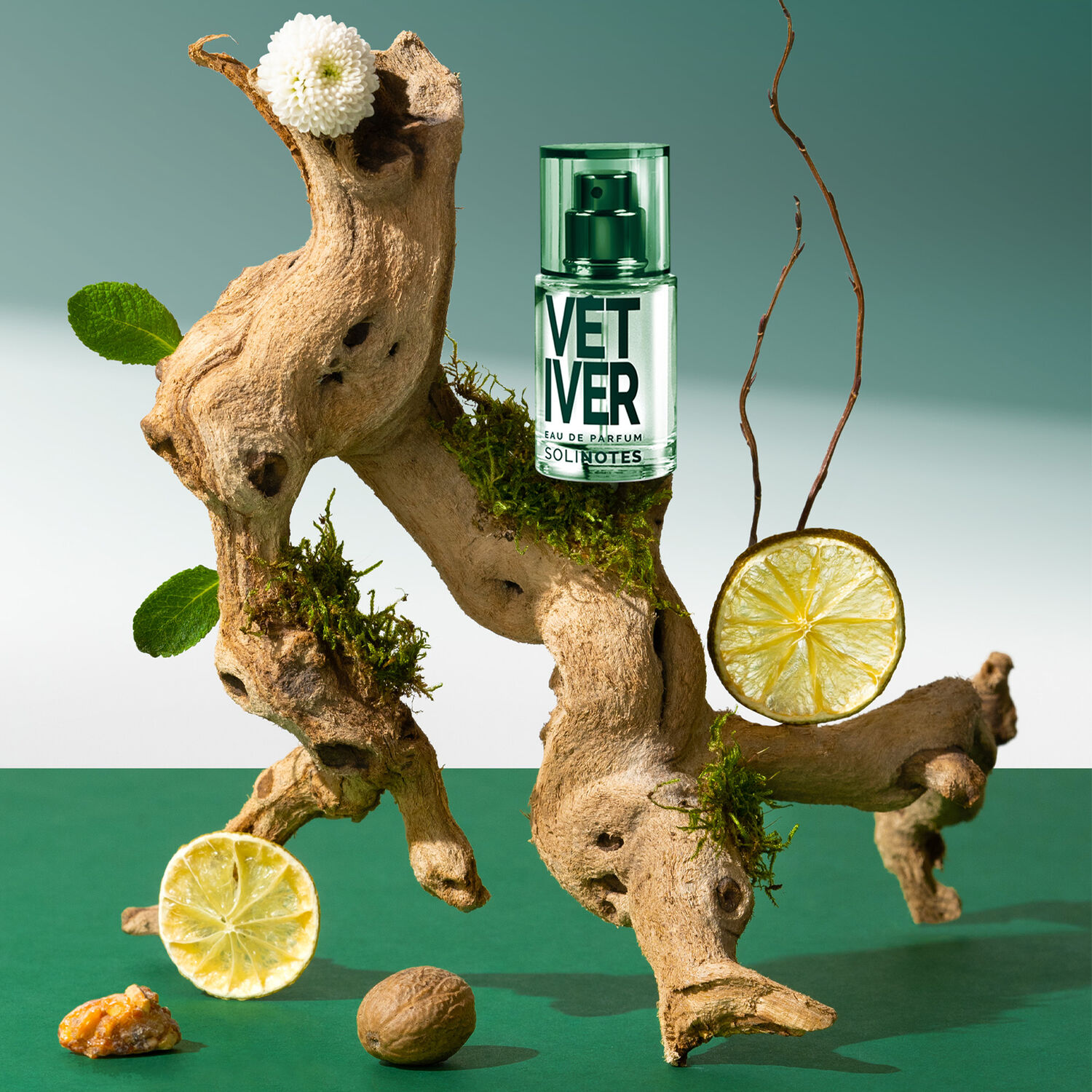 Vetiver - Eau de parfum