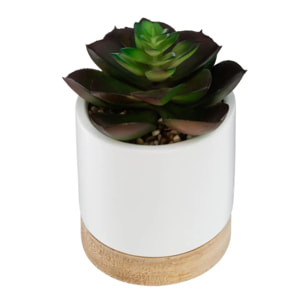 Succulente artificielle pot céramique H12cm