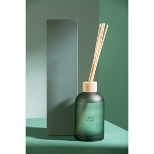 J-Line Bâtonnets parfumés Accords Essentiels - Bois Givré - vert - 550 ml