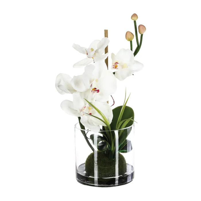 Composition d'orchidées artificielles vase verre H37cm