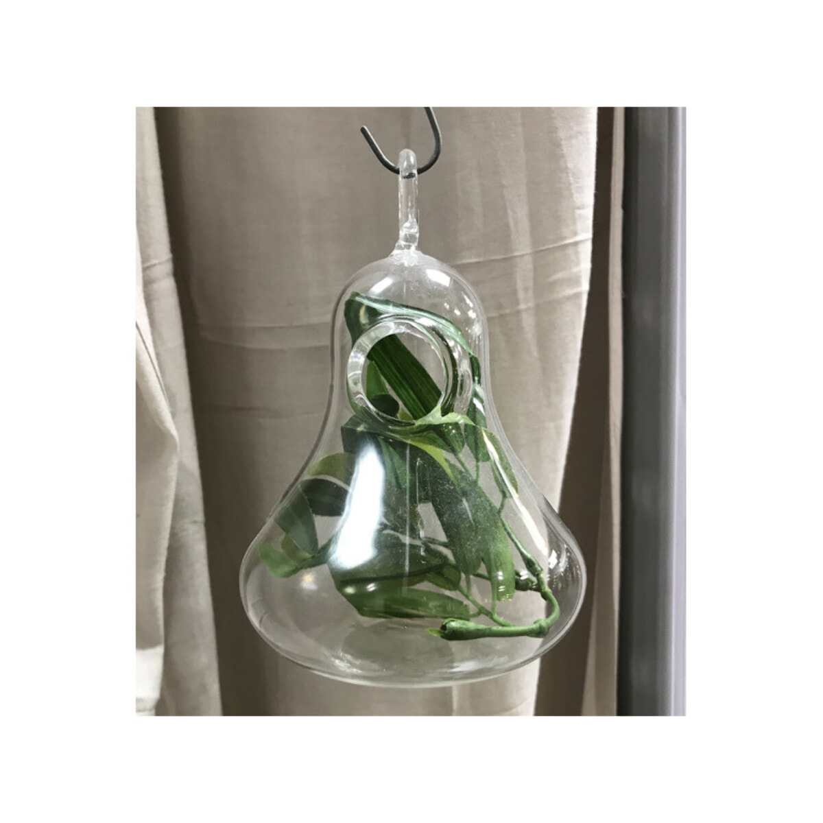 Lot de 2 vases à suspendre terrarium en verre transparent - OCEAN GLASS