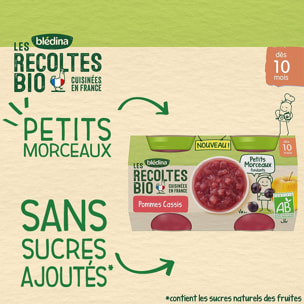 24 Petits Pots Pommes, Cassis Petits Morceaux 12x(2x130g) - Les Récoltes Bio Dès 10 Mois