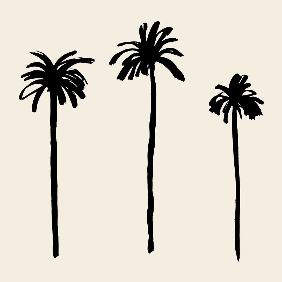 Affiche deco three black palm tree Affiche sous cadre bois