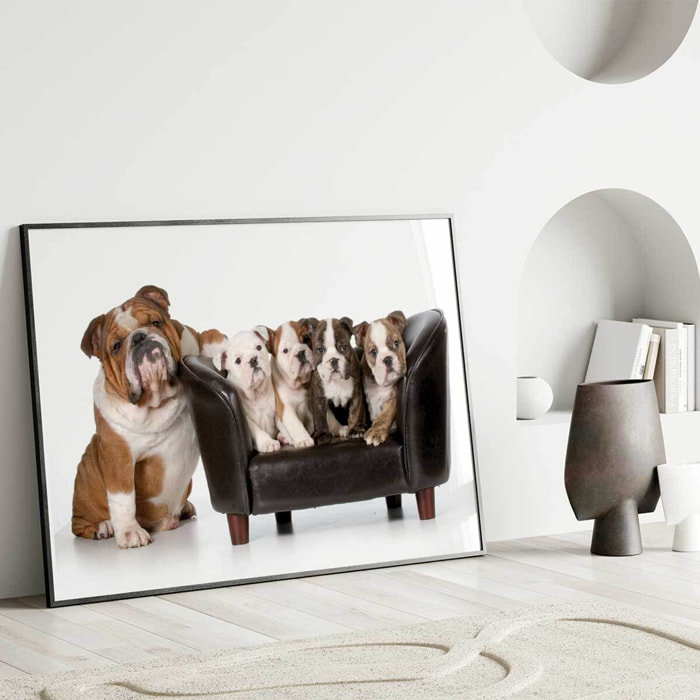 Affiche encadrée bulldogs Affiche + cadre en métal - Noir