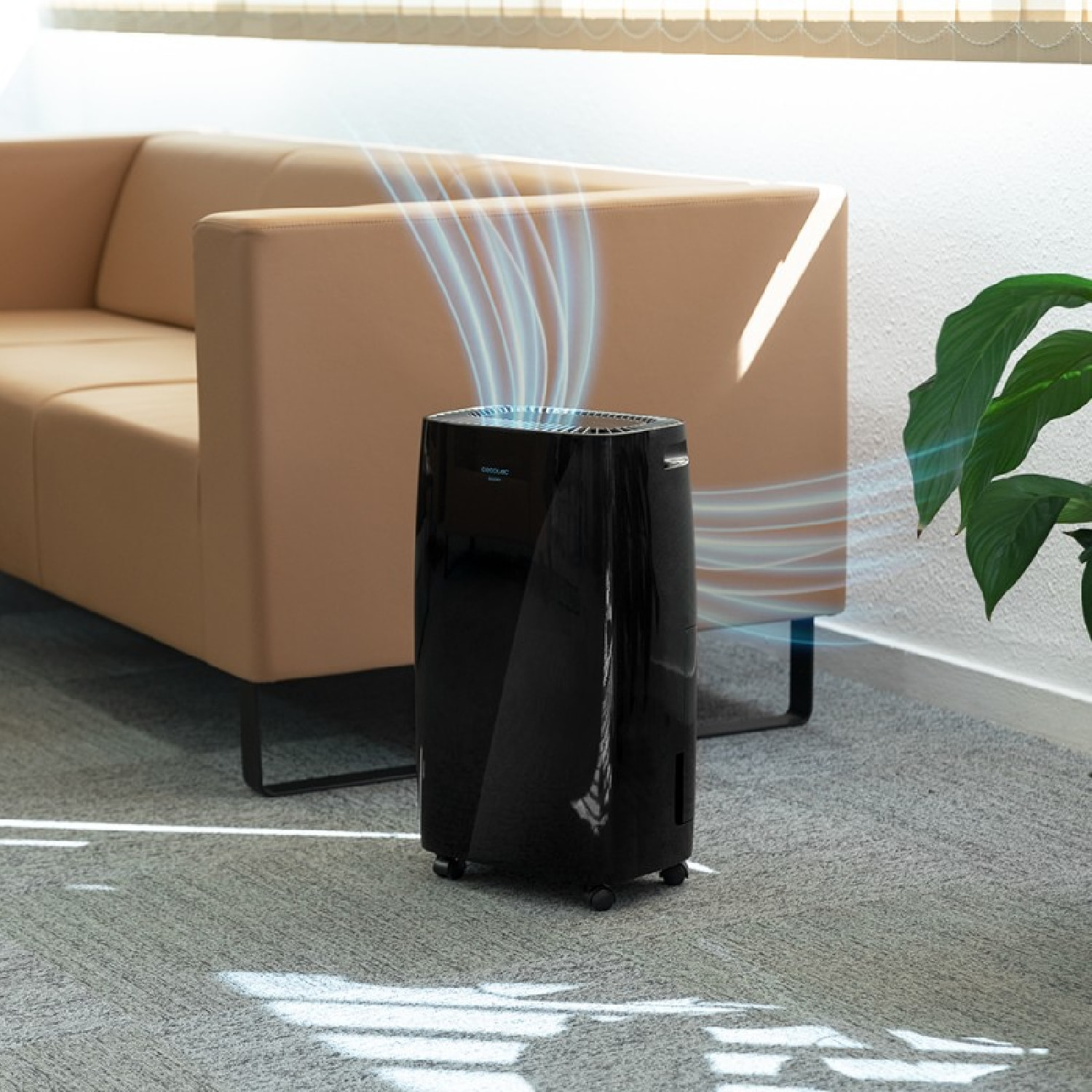 Cecotec Deshumidificador Deshumidificador BigDry 4000 Expert Black