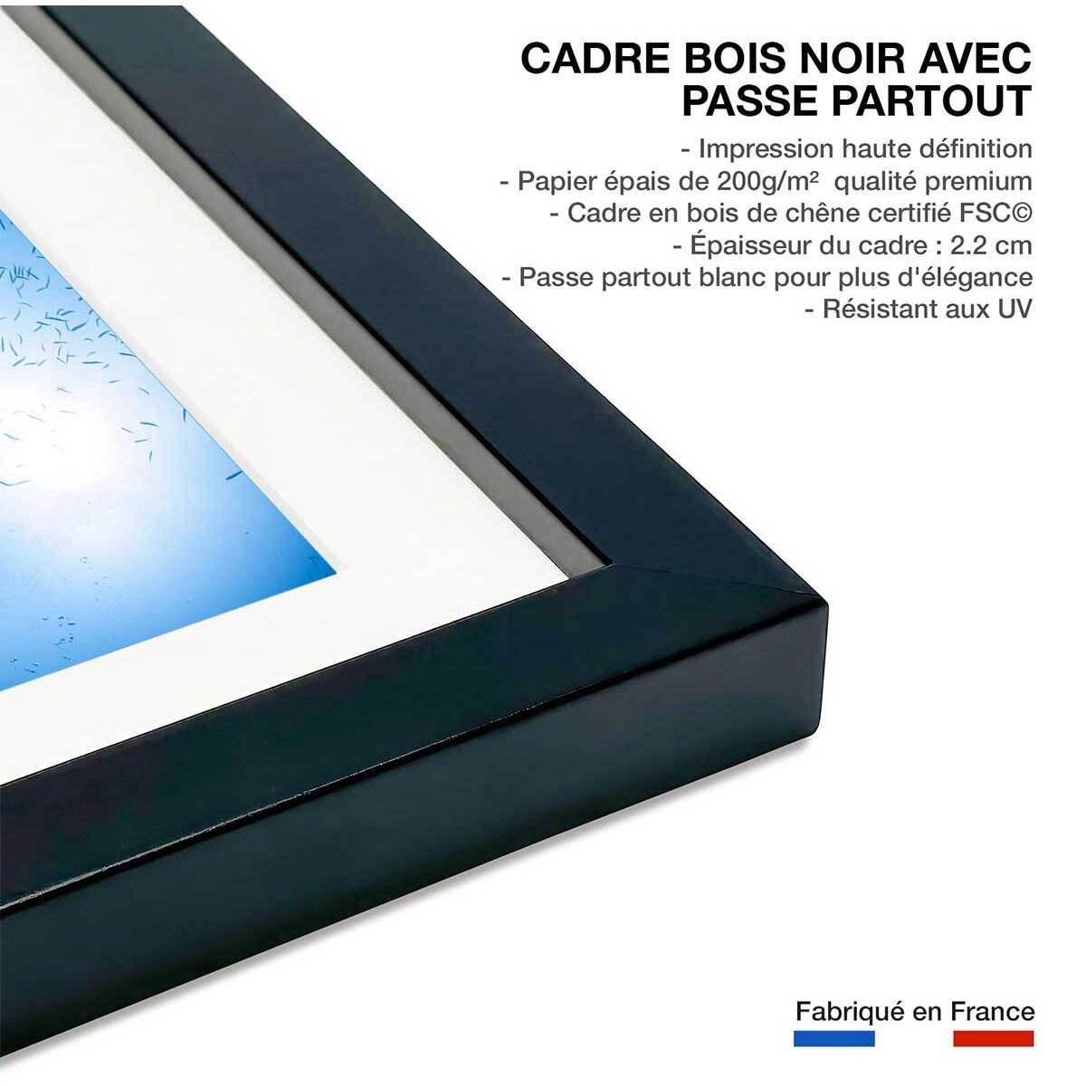 Affiche poisson Carangue Affiche sous cadre noir
