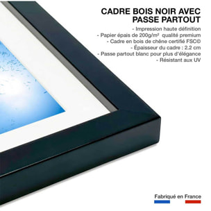 Affiche poisson Carangue Affiche sous cadre noir