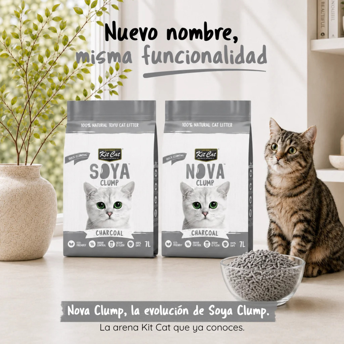 Kit Cat Arena Eco Nova - Charcoal 7 L Arena para gatos