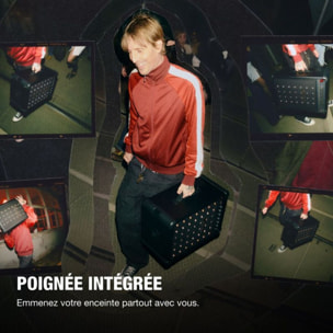 Enceinte sono MARSHALL Bromley 450