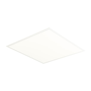 FORLIGHT Square Eco - Plafón de Techo LED 35.6W Blanco Cálido 4000K para Interiores. Diseñado para Cocinas y Oficinas. Color Bl