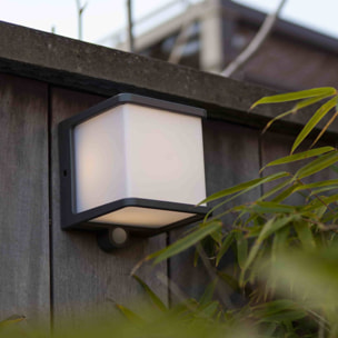 Applique murale solaire DOBLO SOLAR 500L