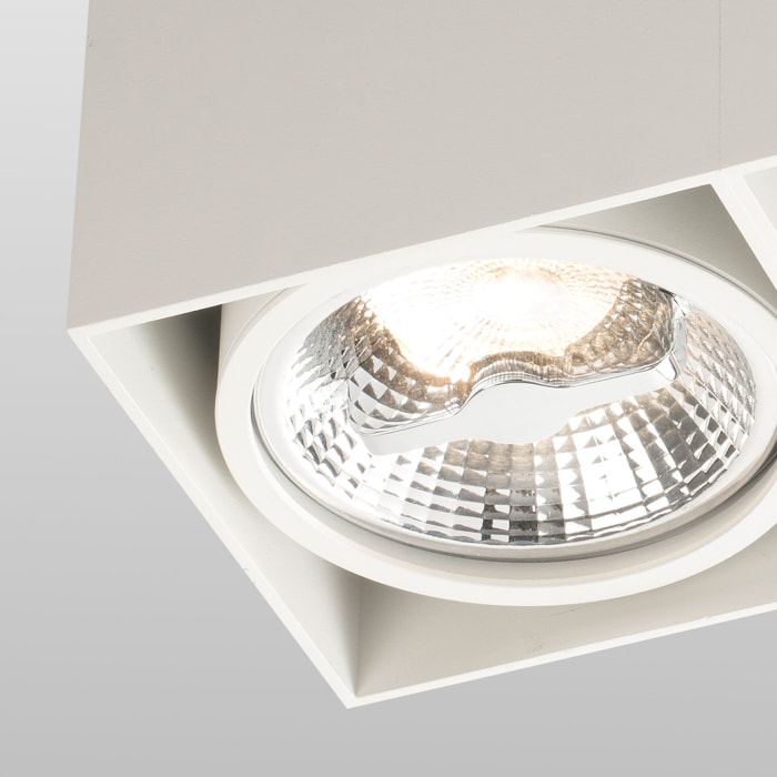 TECTO 2L AR111 Plafonnier blanche